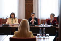 12. maj 2025. Predsednica Narodne skupštine u razgovoru sa predsednicom Parlamenta Kipra