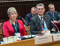 16 October 2025 The National Assembly delegation at the meeting of the Parliamentary Dimension of the Western Balkans Summit in London